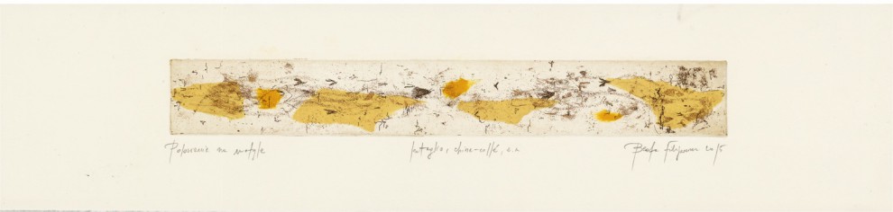Chasing Butterflies | Intaglio chinecolle | 2015